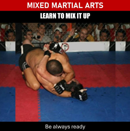 Mixed martial arts
